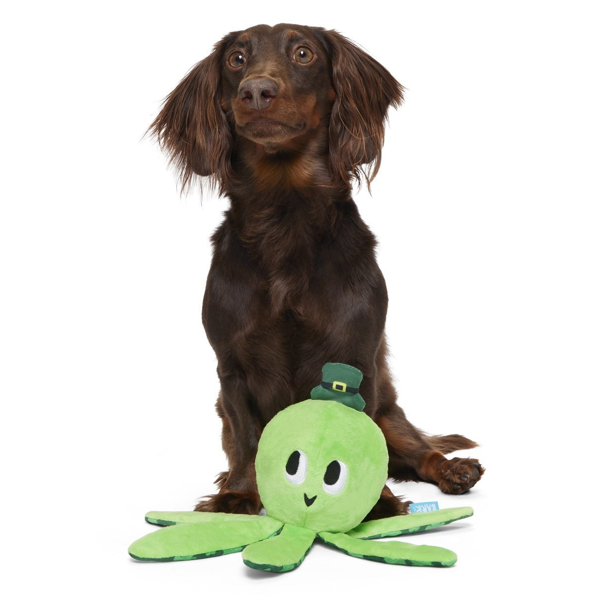 Odd McOllie Plush Tug Dog Toy