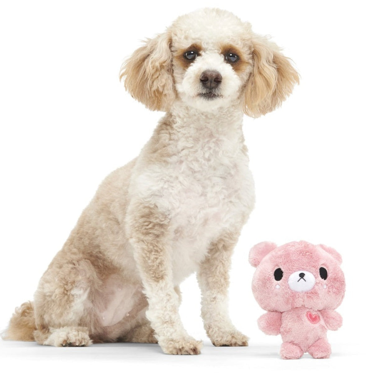 Lover Bear Plush Dog Toy