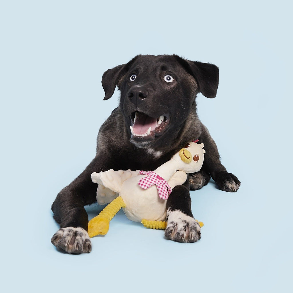 Gingham Goose Plush Extra-Large + Tug Dog Toy