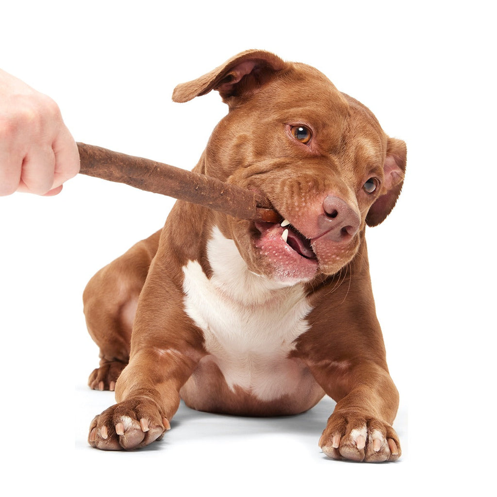 Beefy Chewin' Collagen Dog Chew, 12 inch