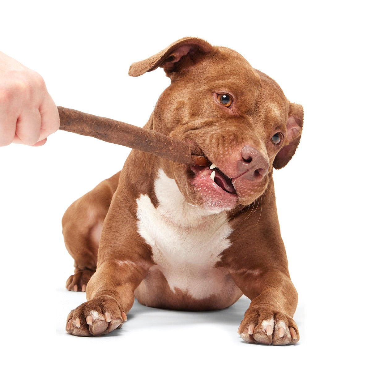 Beefy Chewin' Collagen Dog Chew, 12 inch