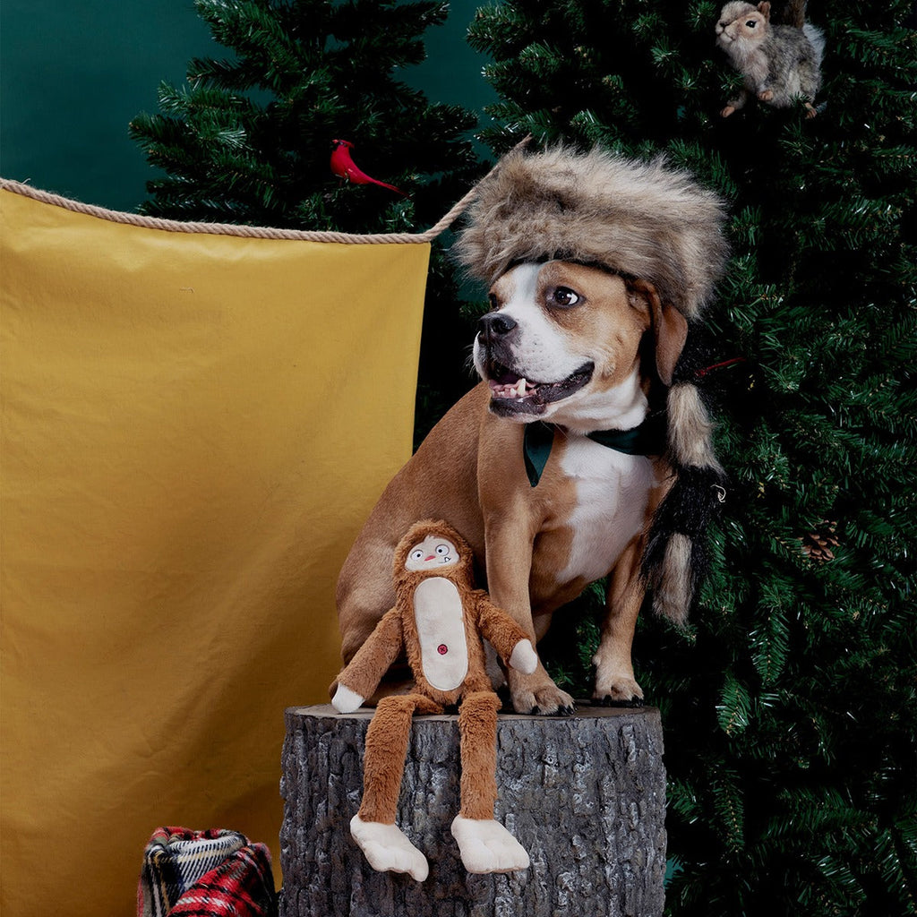 Hairy Henderson Plush Extra-Large + Tug Dog Toy