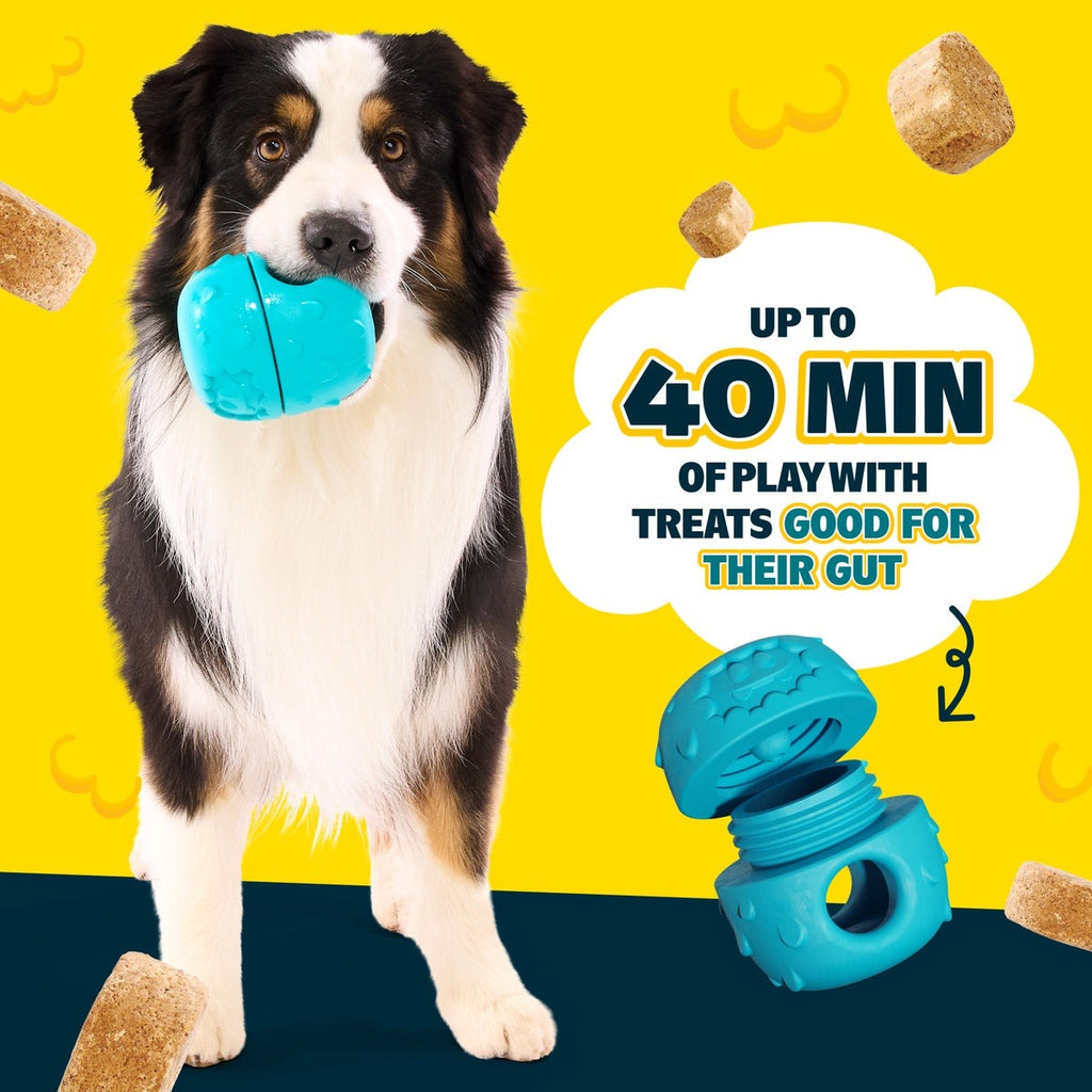 Licksters: Starter Kit (Toy + 2 Treat Packs) Shopmy