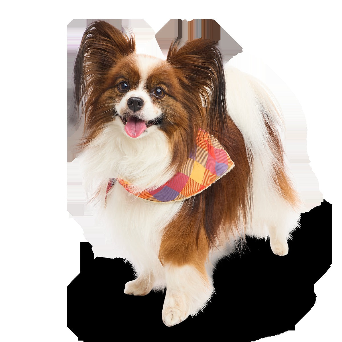Fall Teddy Dog Bandana