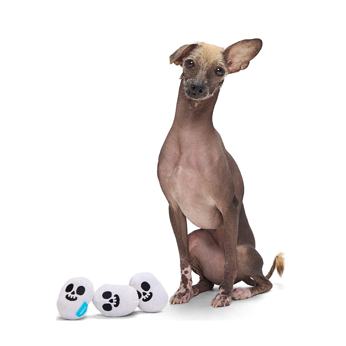 Re-Play Pack: Skelly Beans Plush Multi-Part Dog Toy