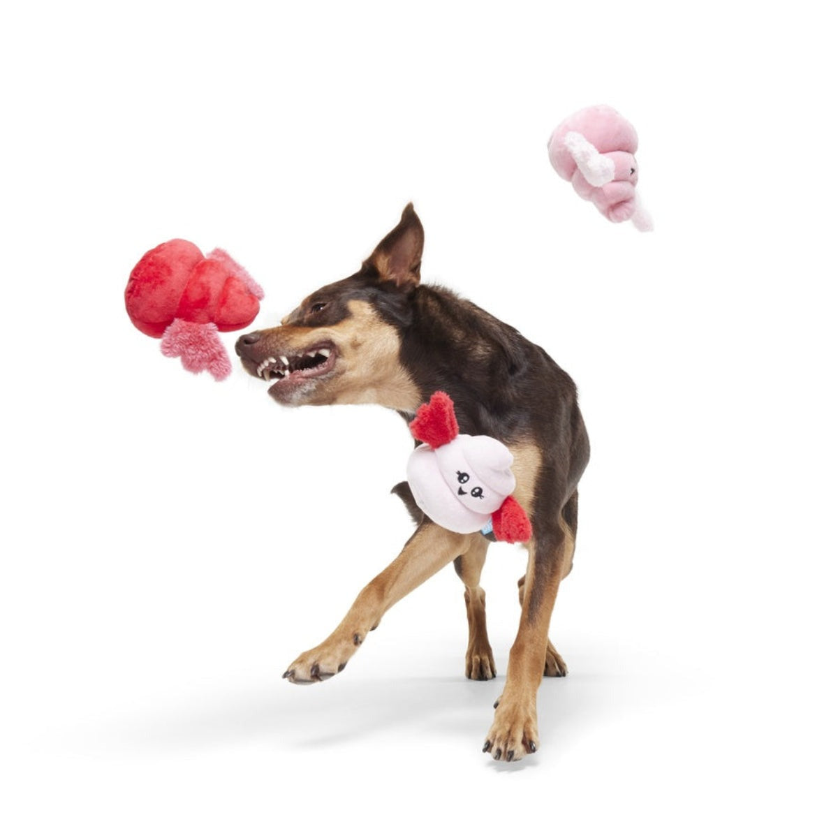 Poopids Plush Multi-Part Dog Toy