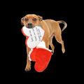 Be Mine Growlentine Plush Enrichment Dog Toy