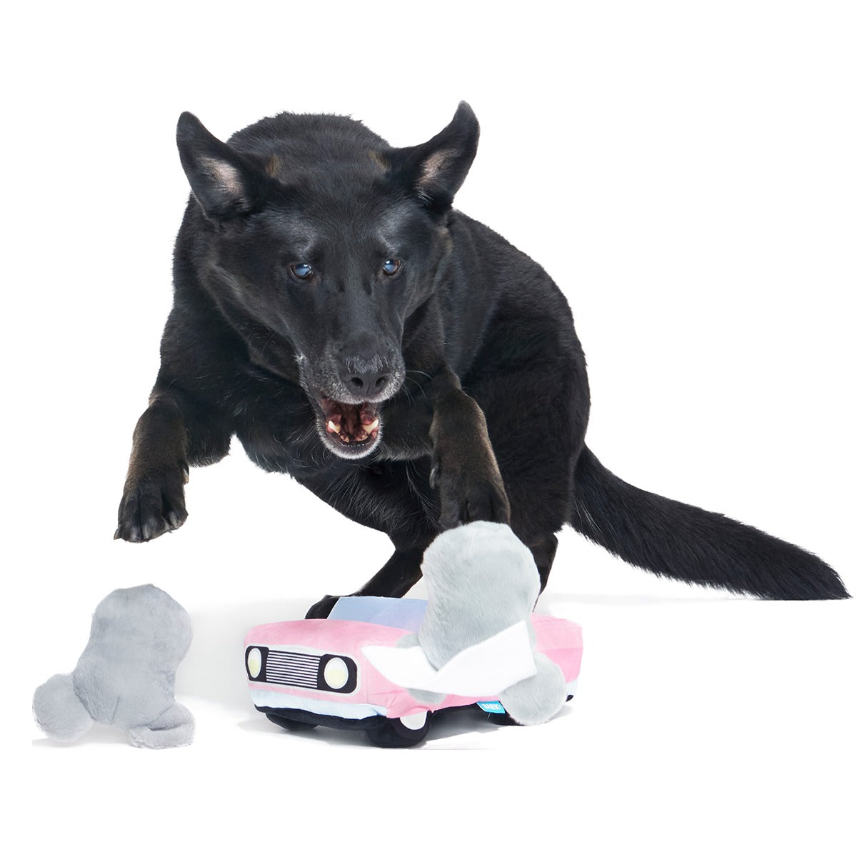 Mister and Mouses Plush Multi-Part Dog Toy