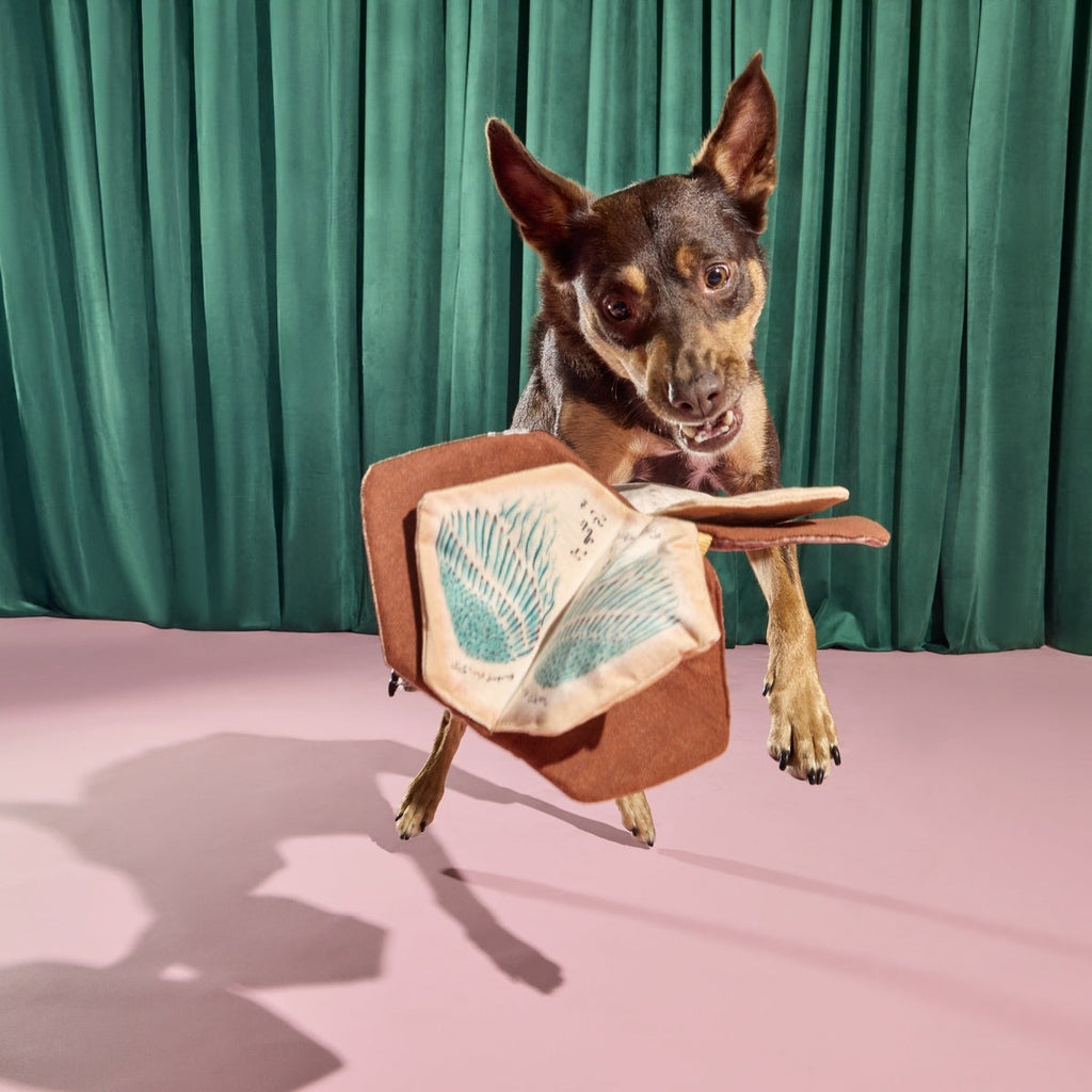 The Grrr-immerie Plush Enrichment Dog Toy