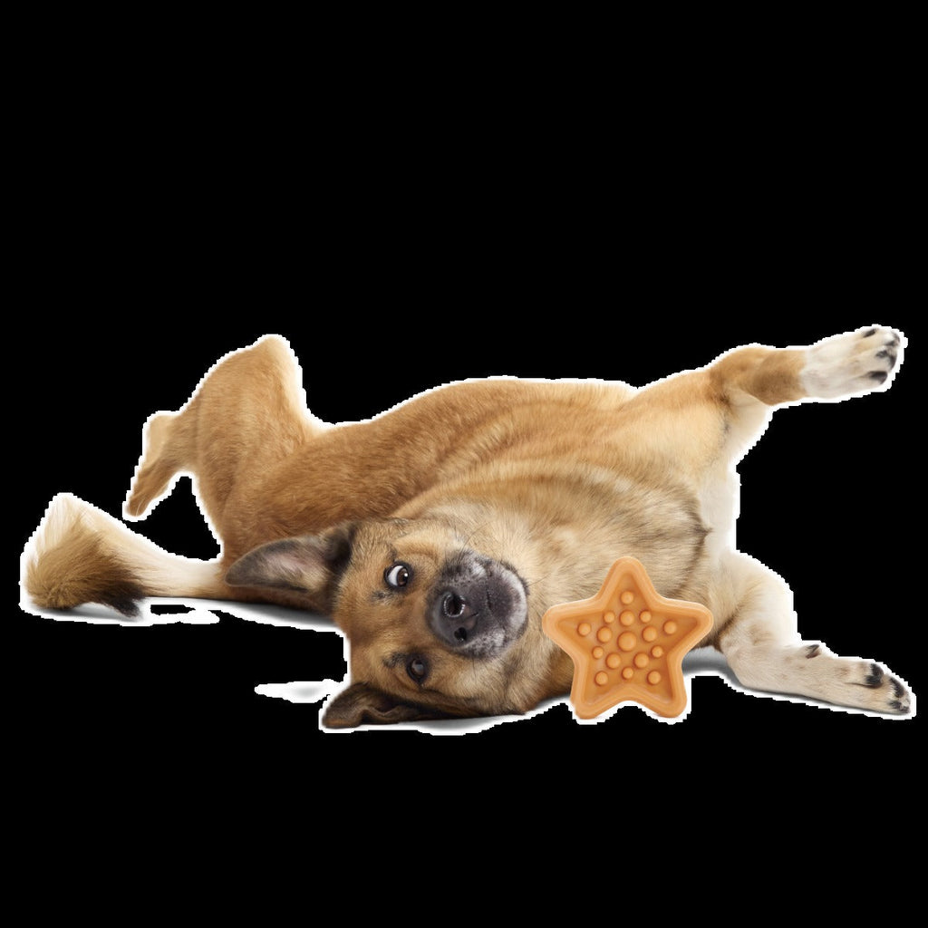 Starfish Snacker Super Chewer Durable Enrichment Dog Toy