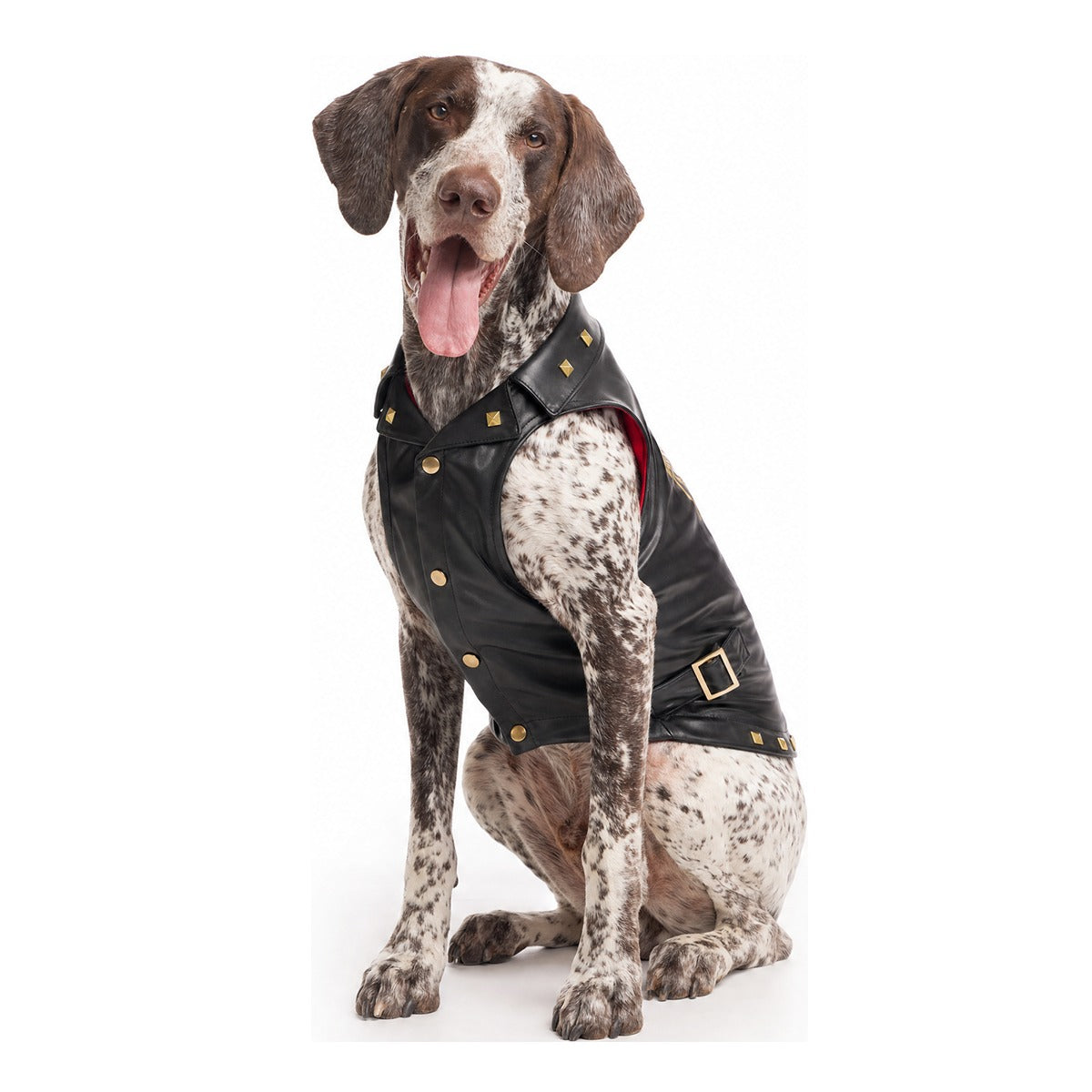 Vest in Peace Dog Vest