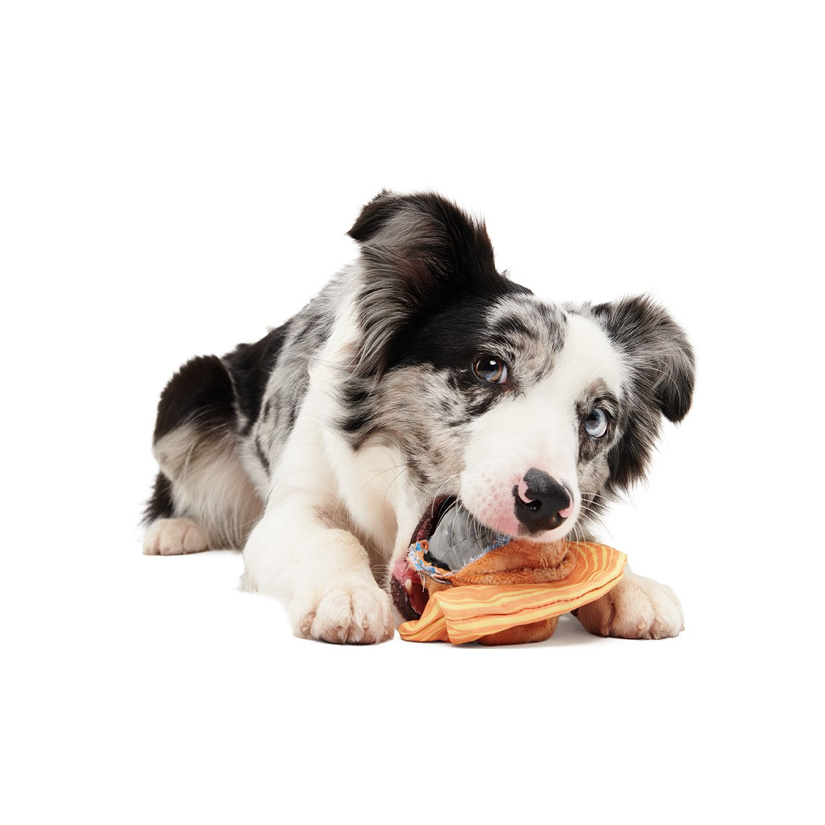 Flings Around Saturn Super Chewer Durable 2-in-1 + Fetch Dog Toy