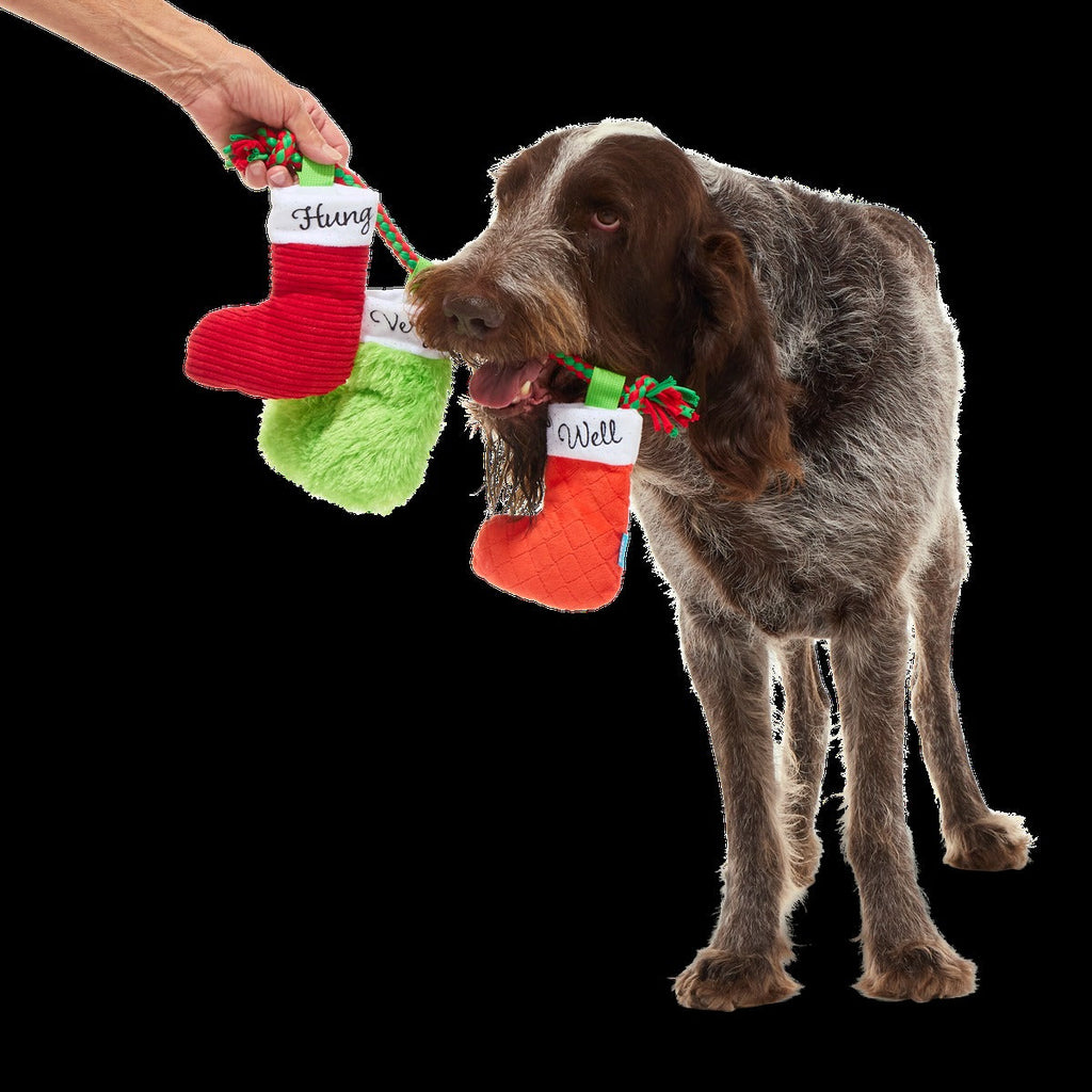 Well Hung Stockings Plush Tug Dog Toy