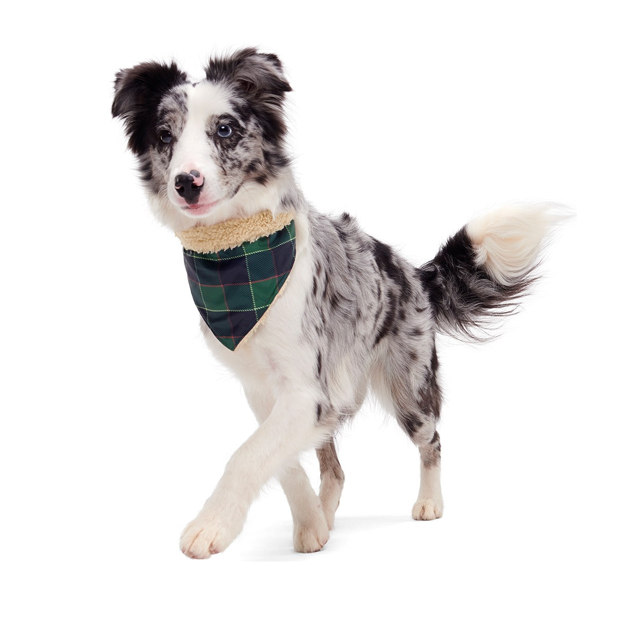 Plaid To The Bone Dog Bandana