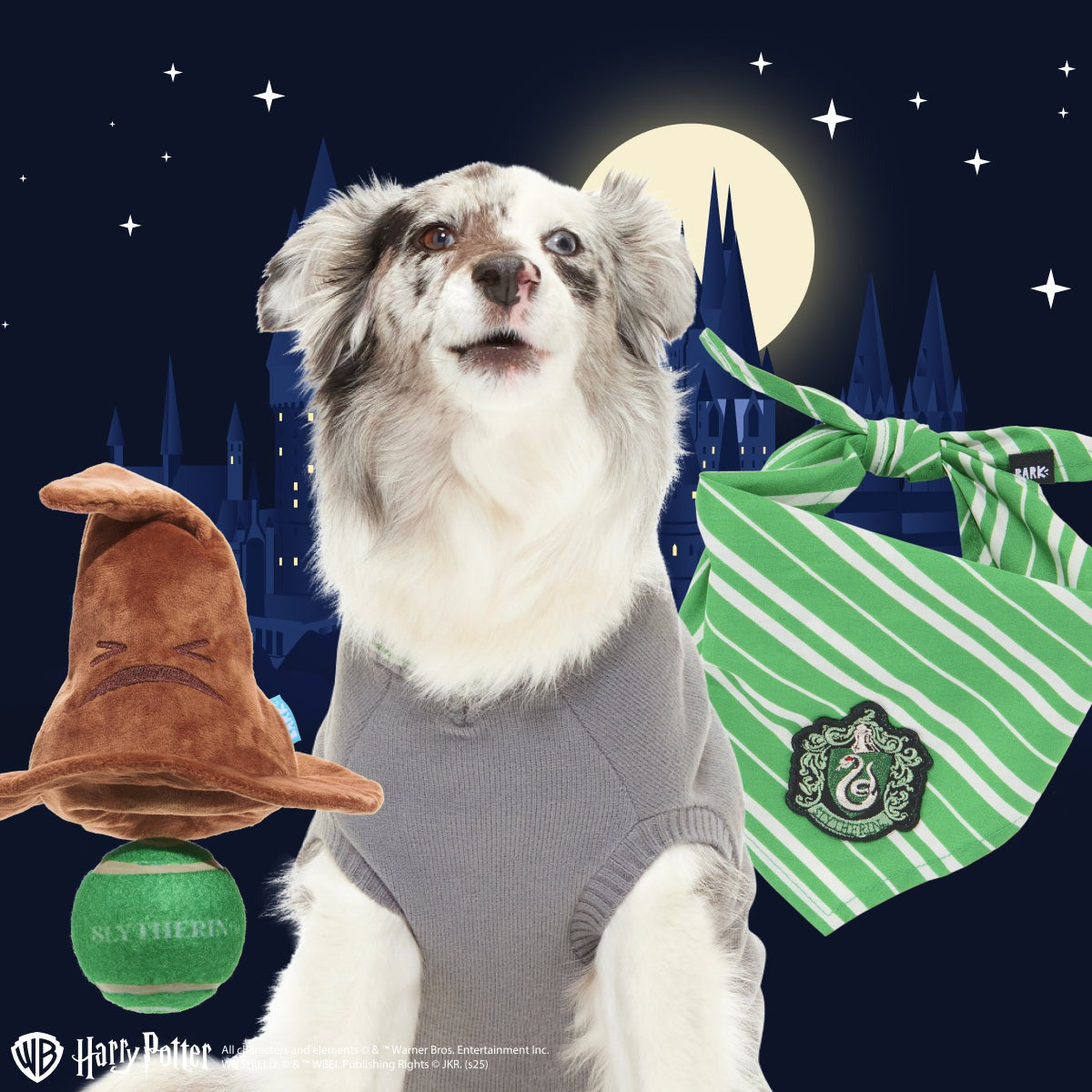 SlytherinTM Bundle