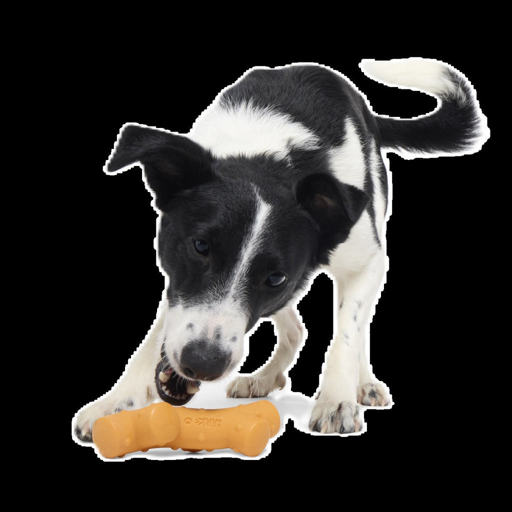 Reef Teefer Super Chewer Durable Gnaw Dog Toy