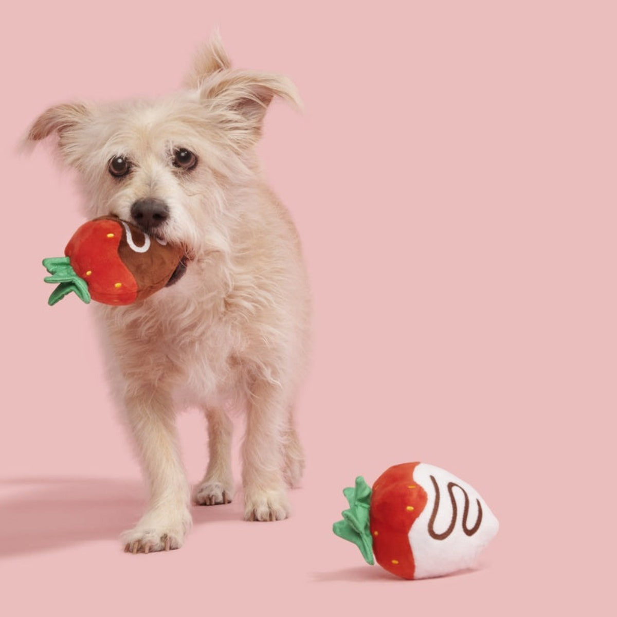 Chocolick Strawberries Plush Multi-Part Dog Toy