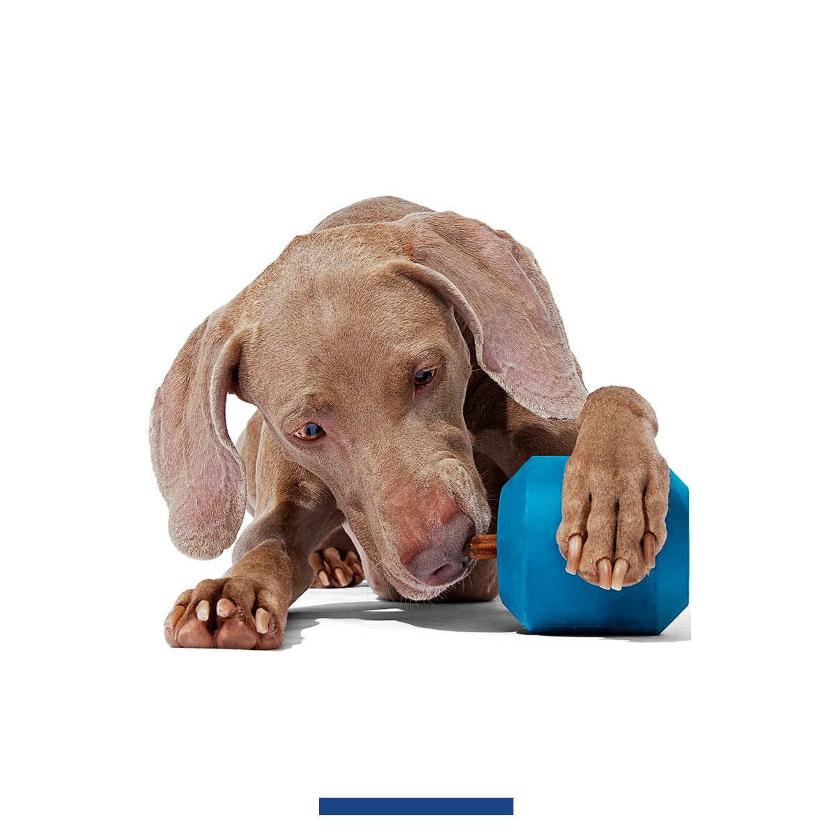 Tank Super Chewer Durable Enrichment Dog Toy