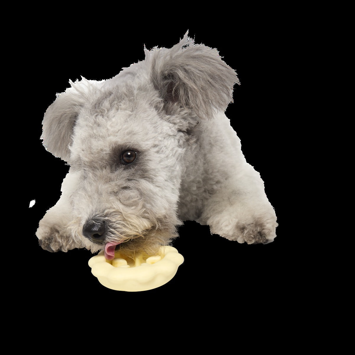 Plump Pumpkin Pie Durable Super Chewer Enrichment Dog Toy