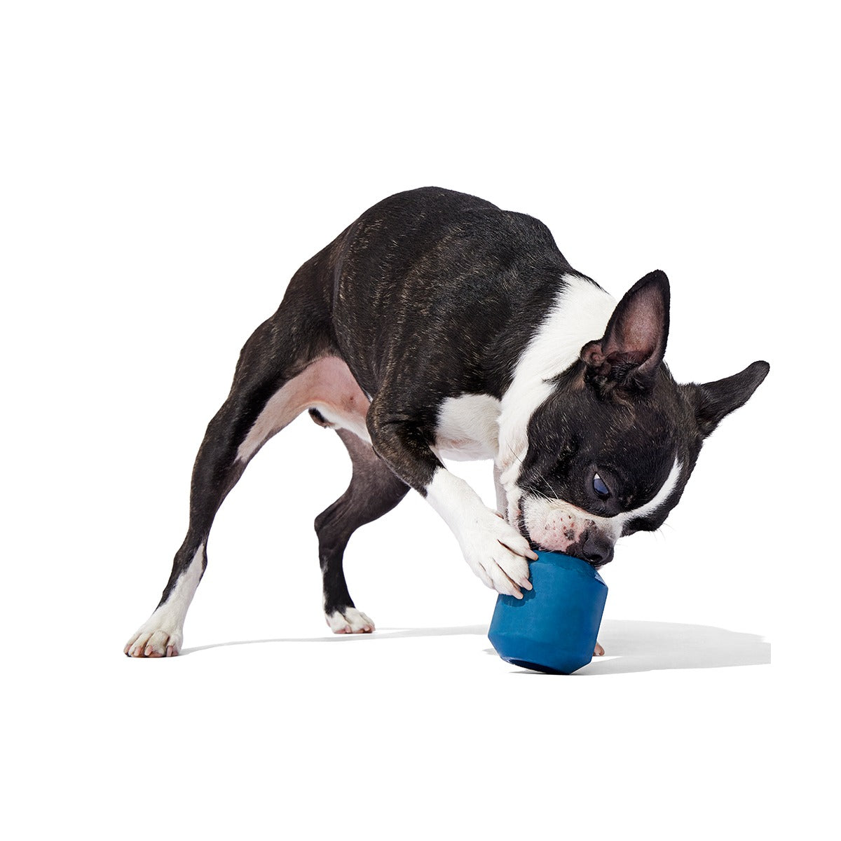 Tank Super Chewer Durable Enrichment Dog Toy