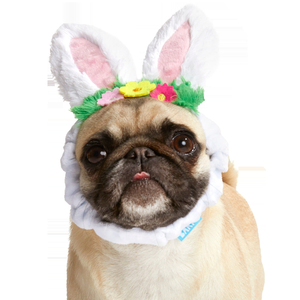 Hare Club Plush Wearable Dog Toy