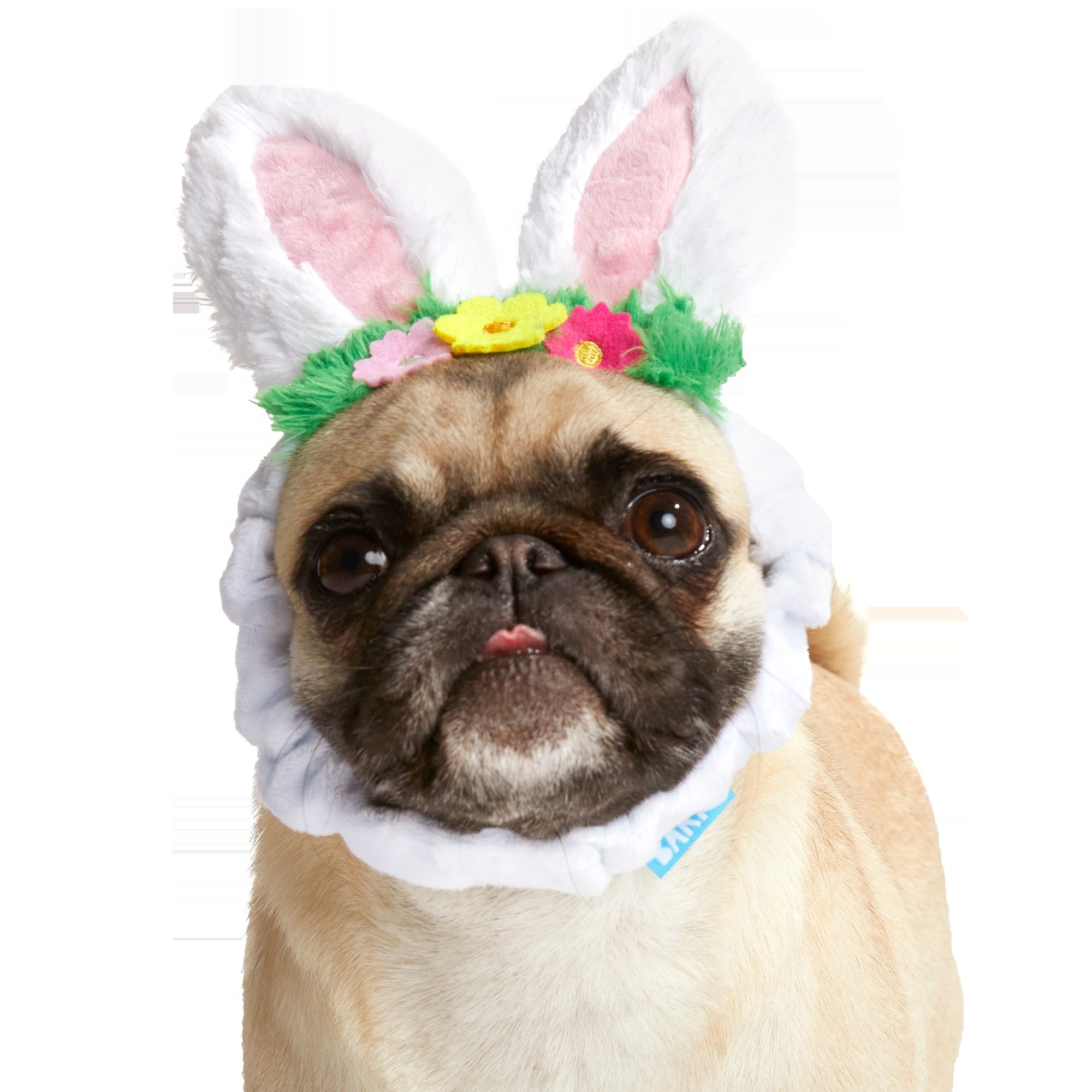 Hare Club Plush Wearable Dog Toy