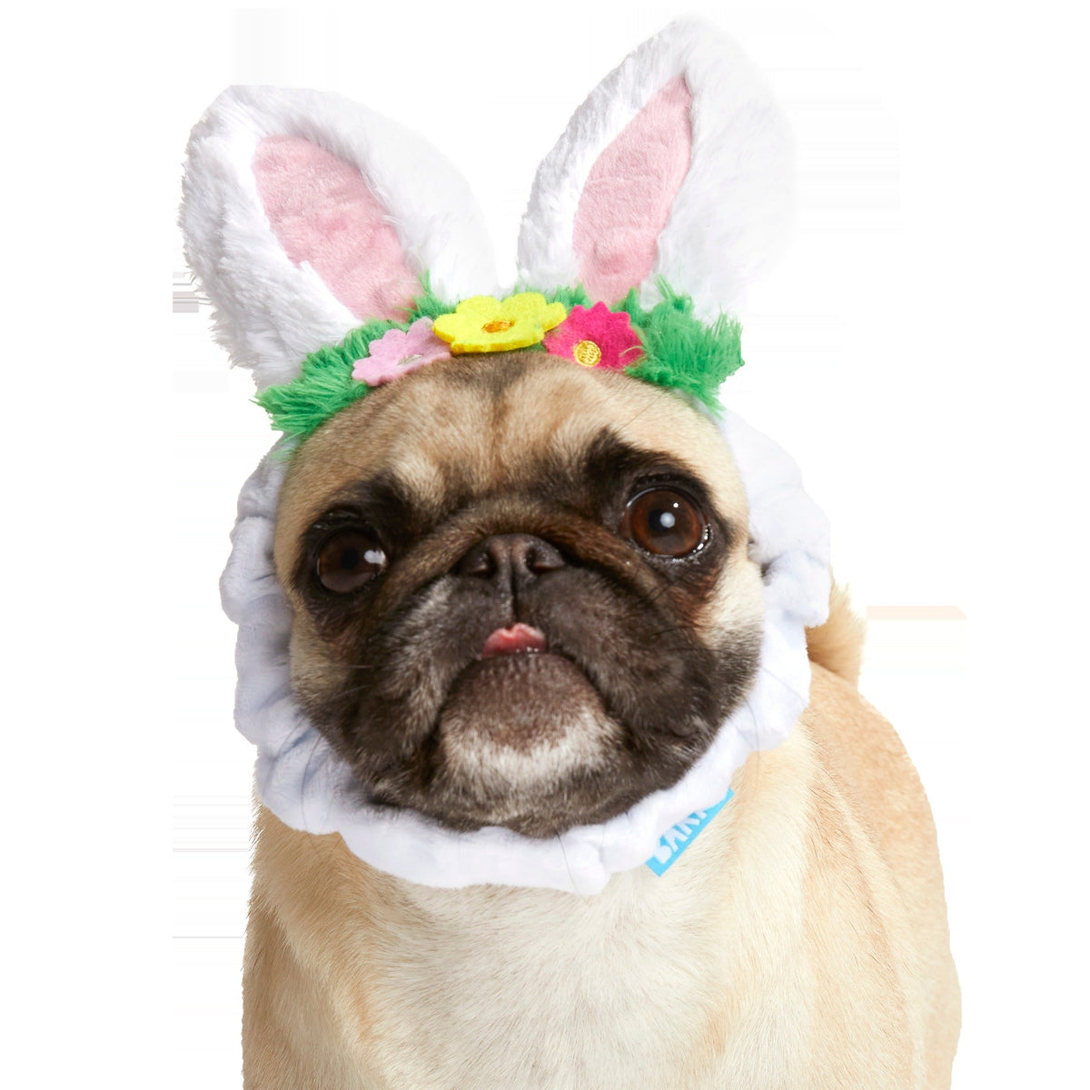 Hare Club Plush Wearable Dog Toy