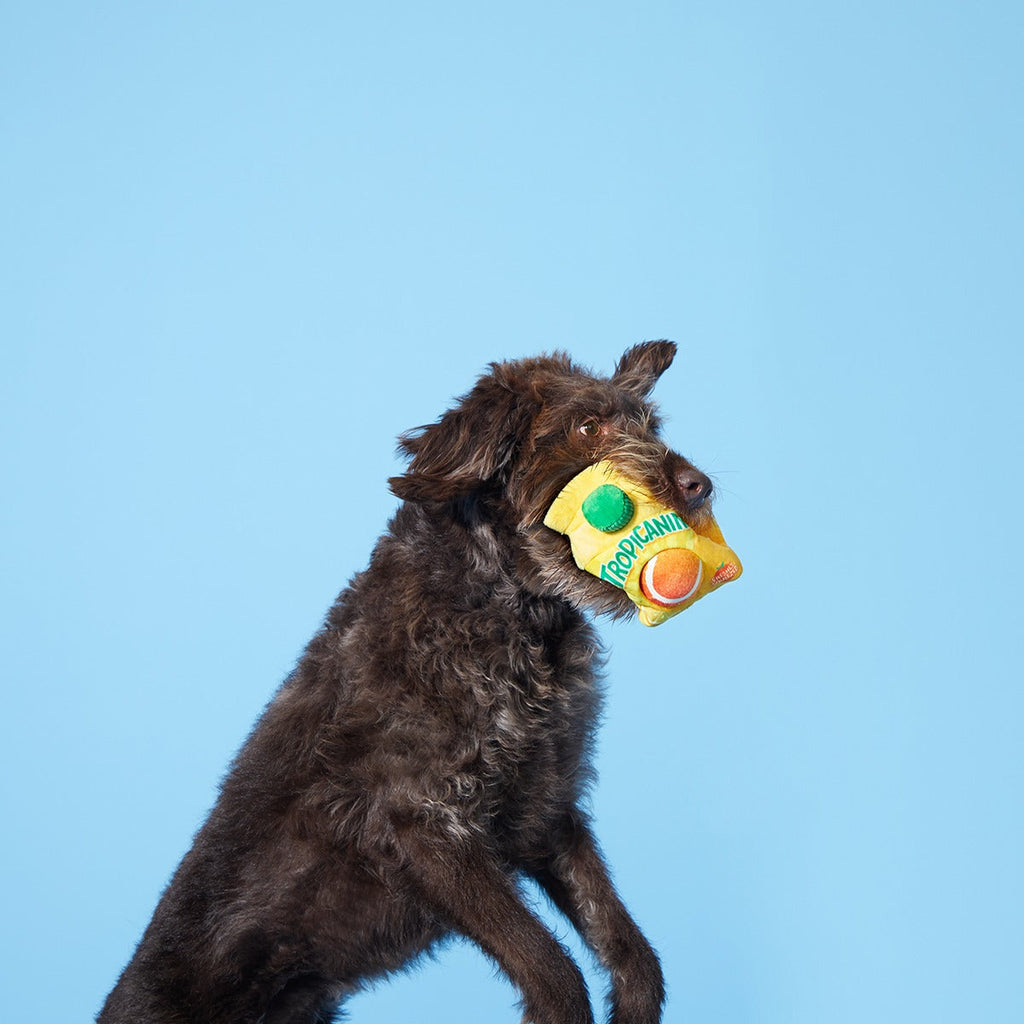 Fresh Squeaked OJ Plush Multi-Part + Enrichment + Fetch Dog Toy