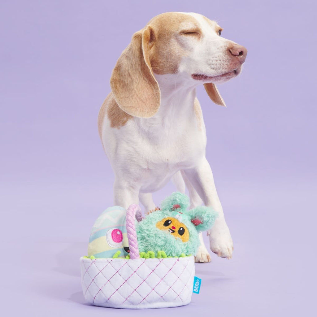 BARK Easter Bundle Plush Multi-Part + Tug + Enrichment Dog Toy