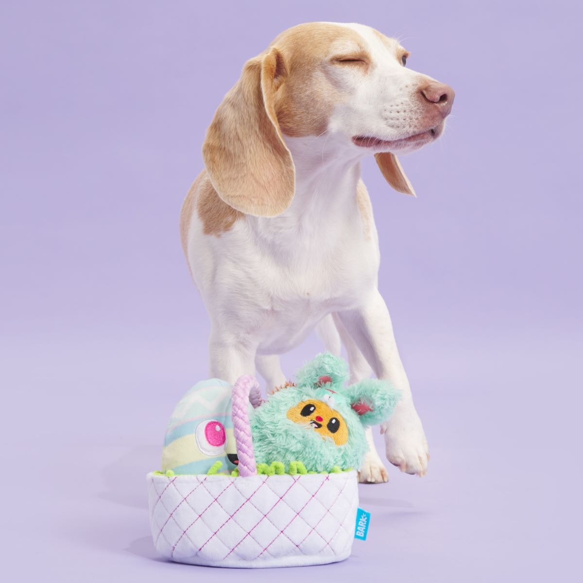 BARK Easter Bundle Plush Multi-Part + Tug + Enrichment Dog Toy