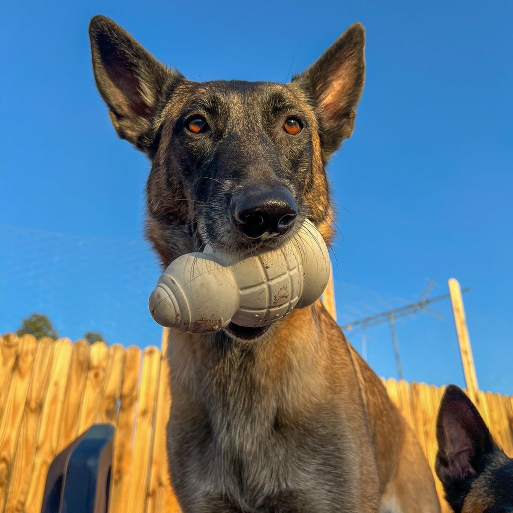 Sam the SnowmanTM Super Chewer Durable Gnaw Dog Toy