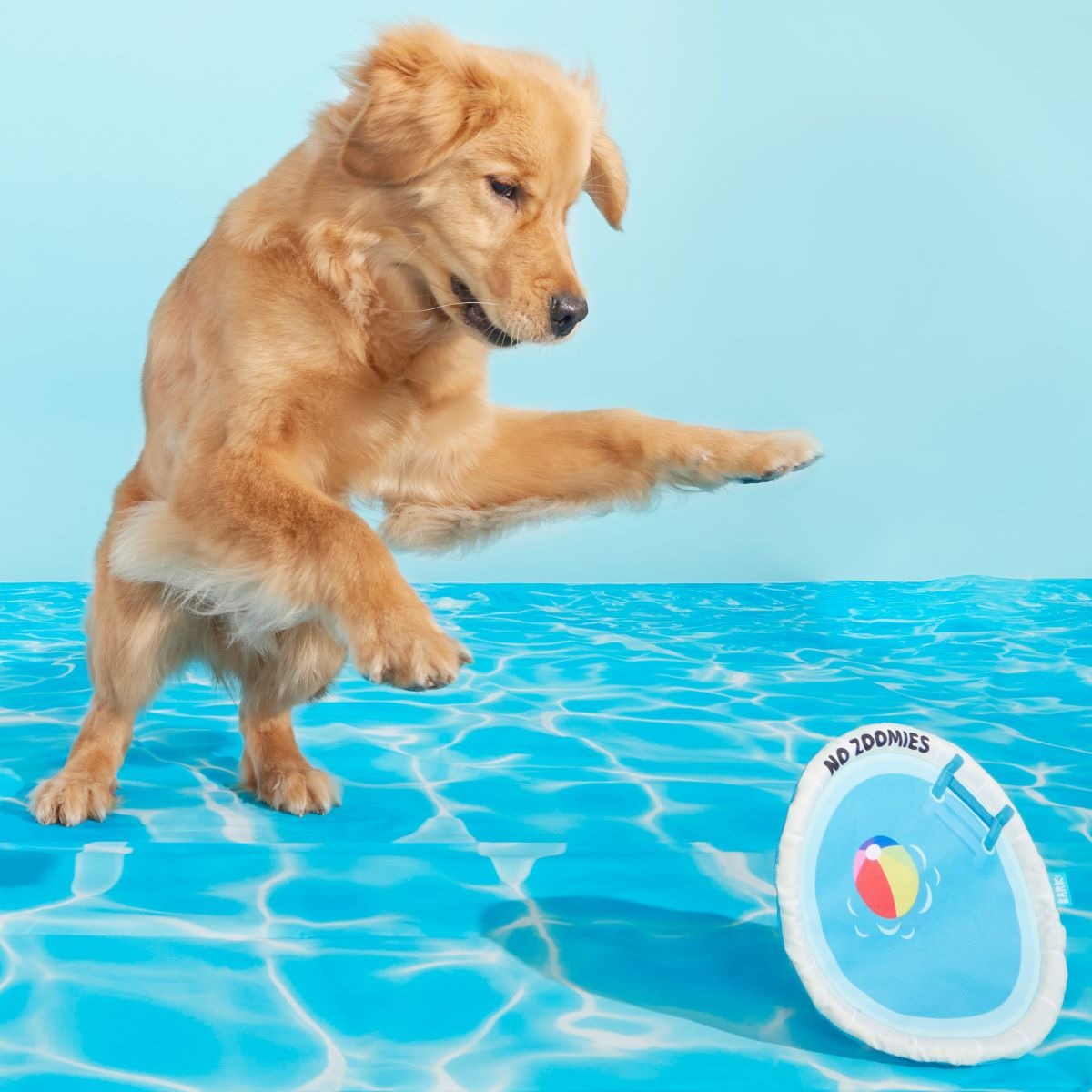 Deep End Disc Plush Fetch Dog Toy