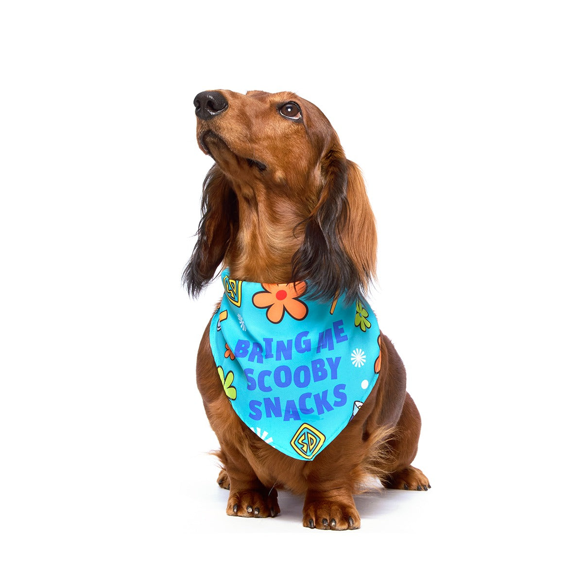 ScoobyTM Snacks Dog Bandana