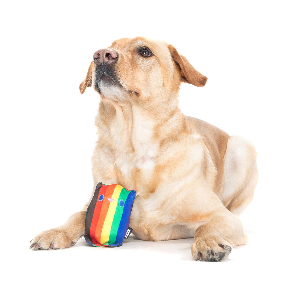 Some Bear Over The Rainbow Super Chewer Durable 2-in-1 Dog Toy