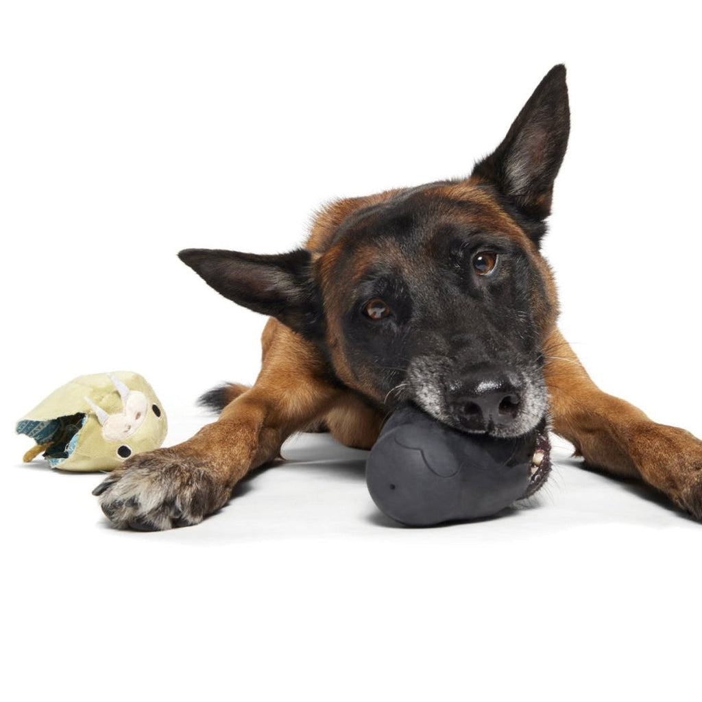 Full Belly Wally Super Chewer Durable 2-in-1 Dog Toy
