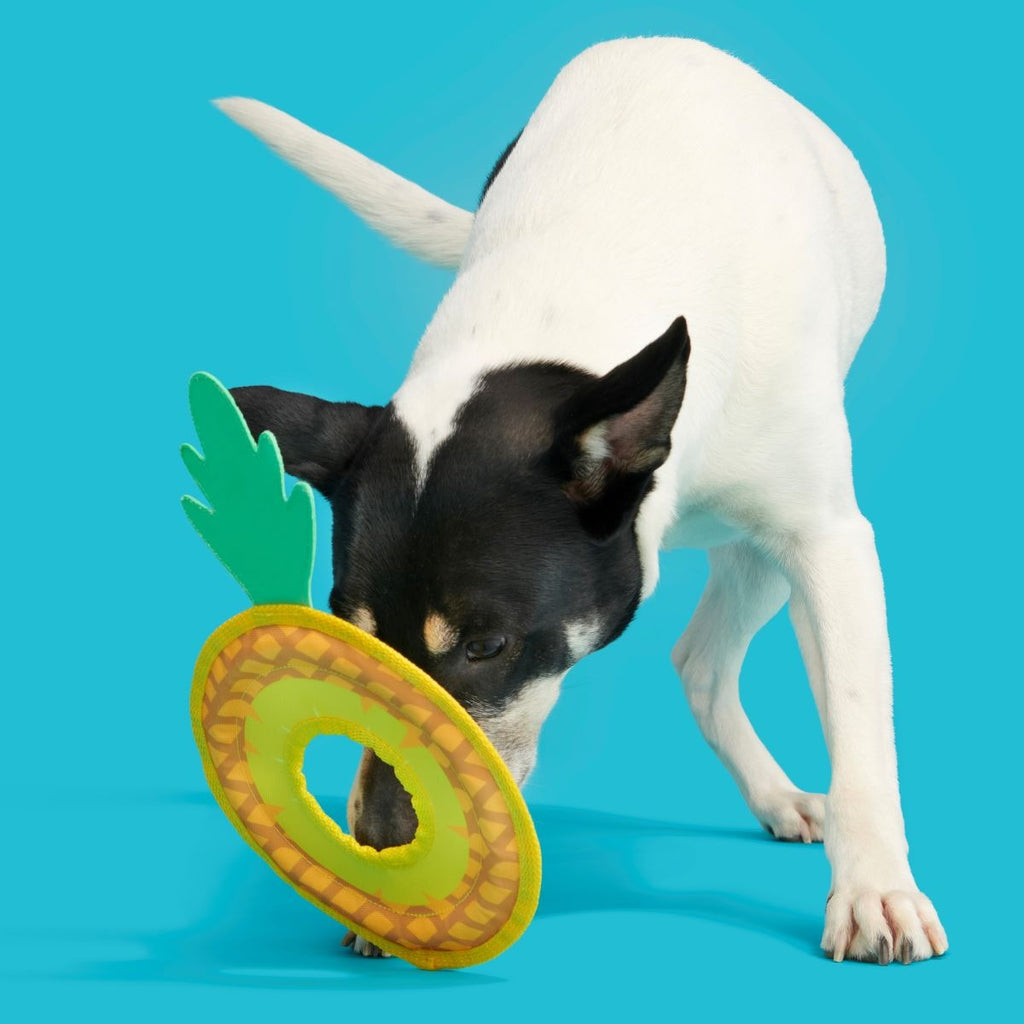 Pineapple Fling Plush Tug + Fetch Dog Toy