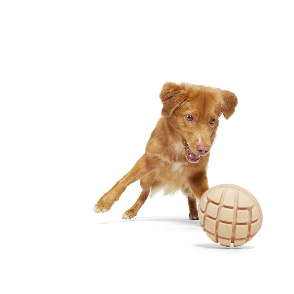 Mutterball Turkey Durable Super Chewer 2-in-1 Rip and Reveal + Tug Dog Toy