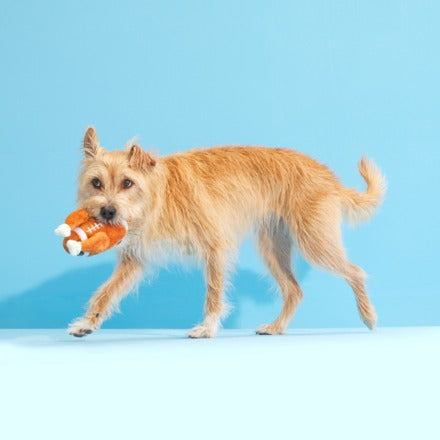 Turkey Day Football Plush Fetch Dog Toy