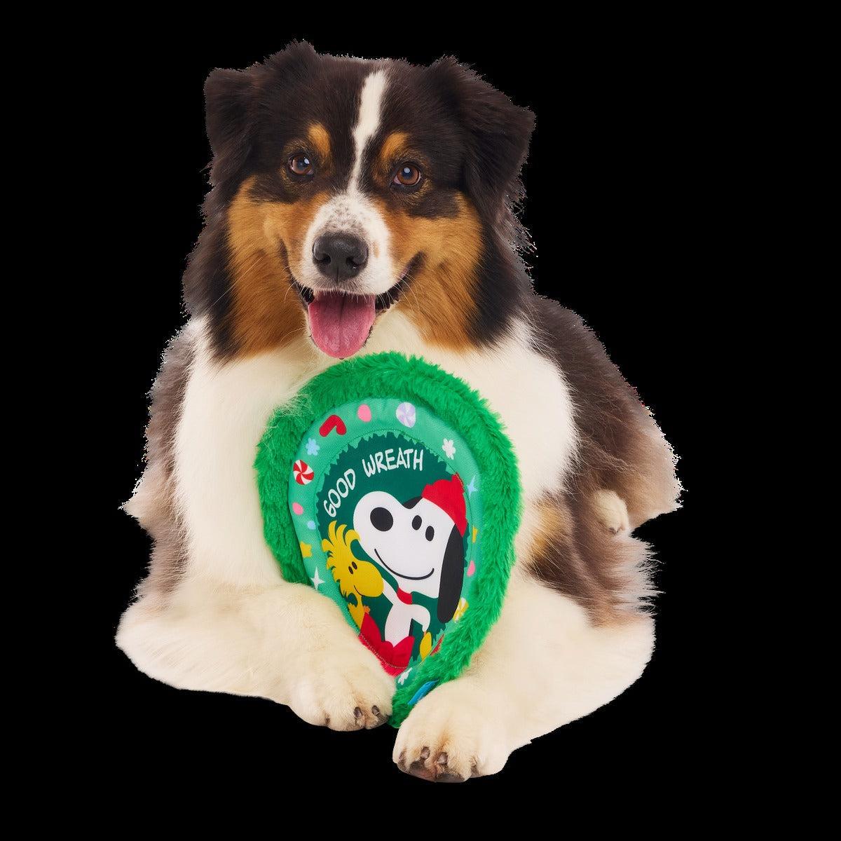 Disc The Halls Plush Fetch Dog Toy