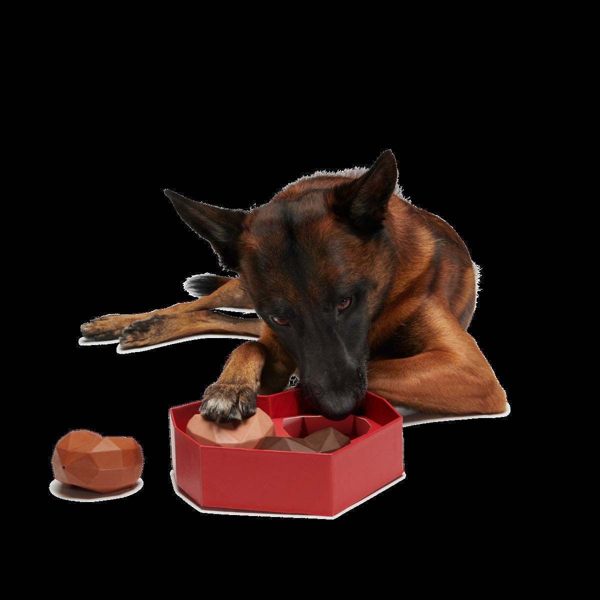 Box of Chocolicks Super Chewer Durable Multi-Part + Gnaw Dog Toy