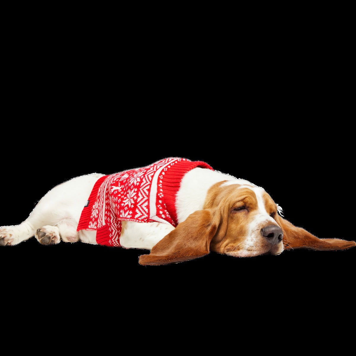 Holiday Sweater Wearable For Dogs