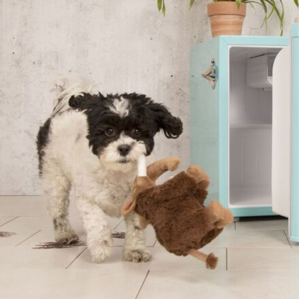 Winston the Wooly Mammoth Plush Tug Dog Toy