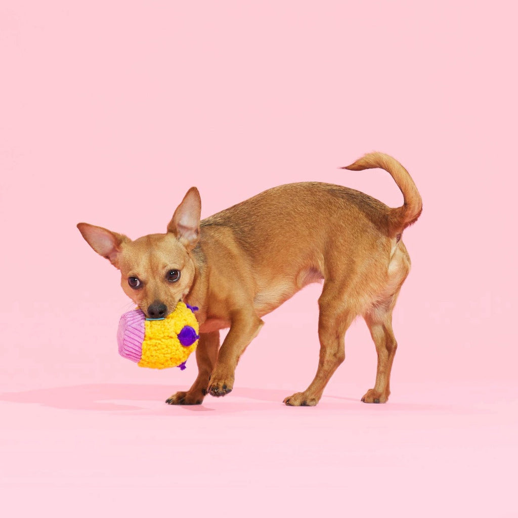 Stuffin' Muffin Plush Fetch Dog Toy