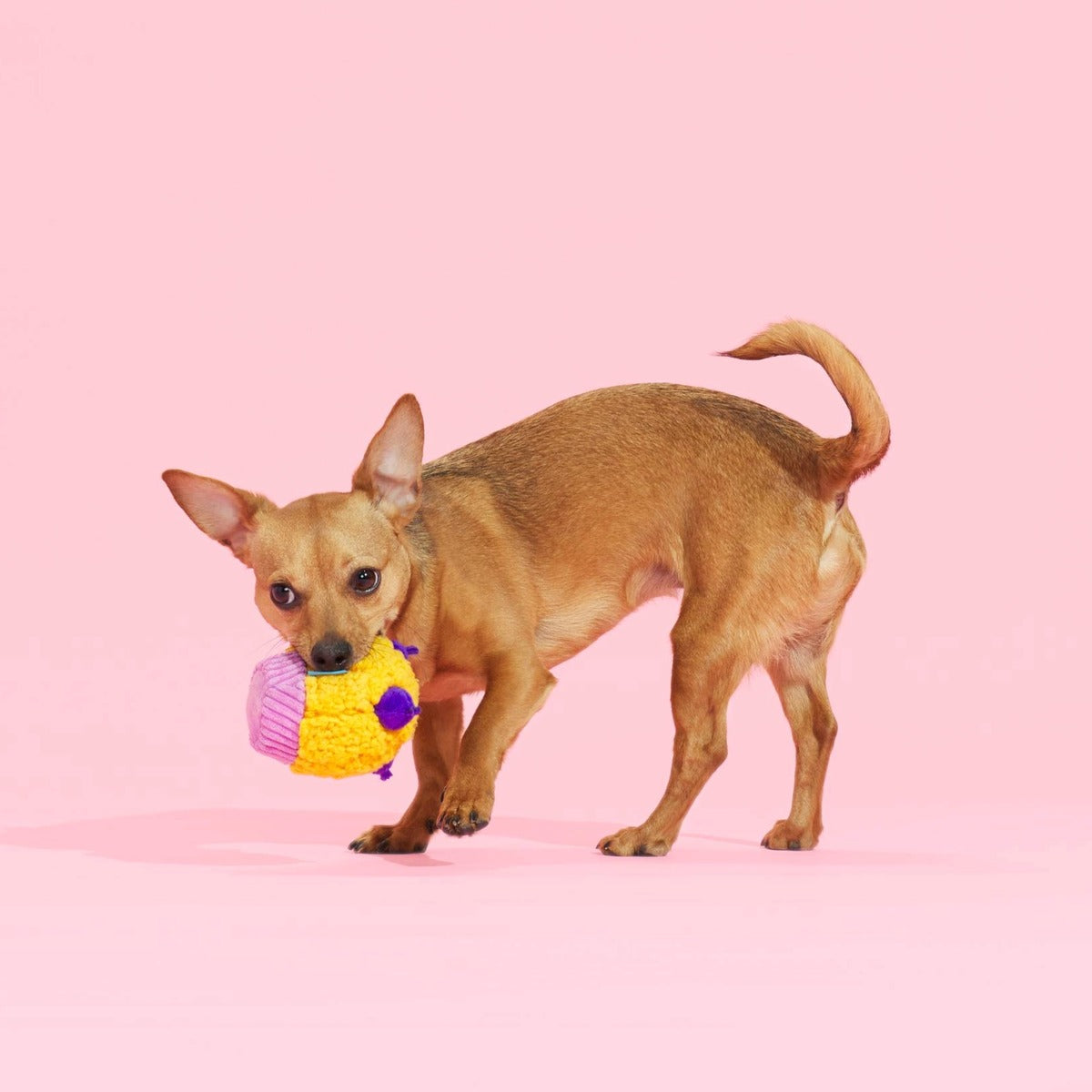 Stuffin' Muffin Plush Fetch Dog Toy