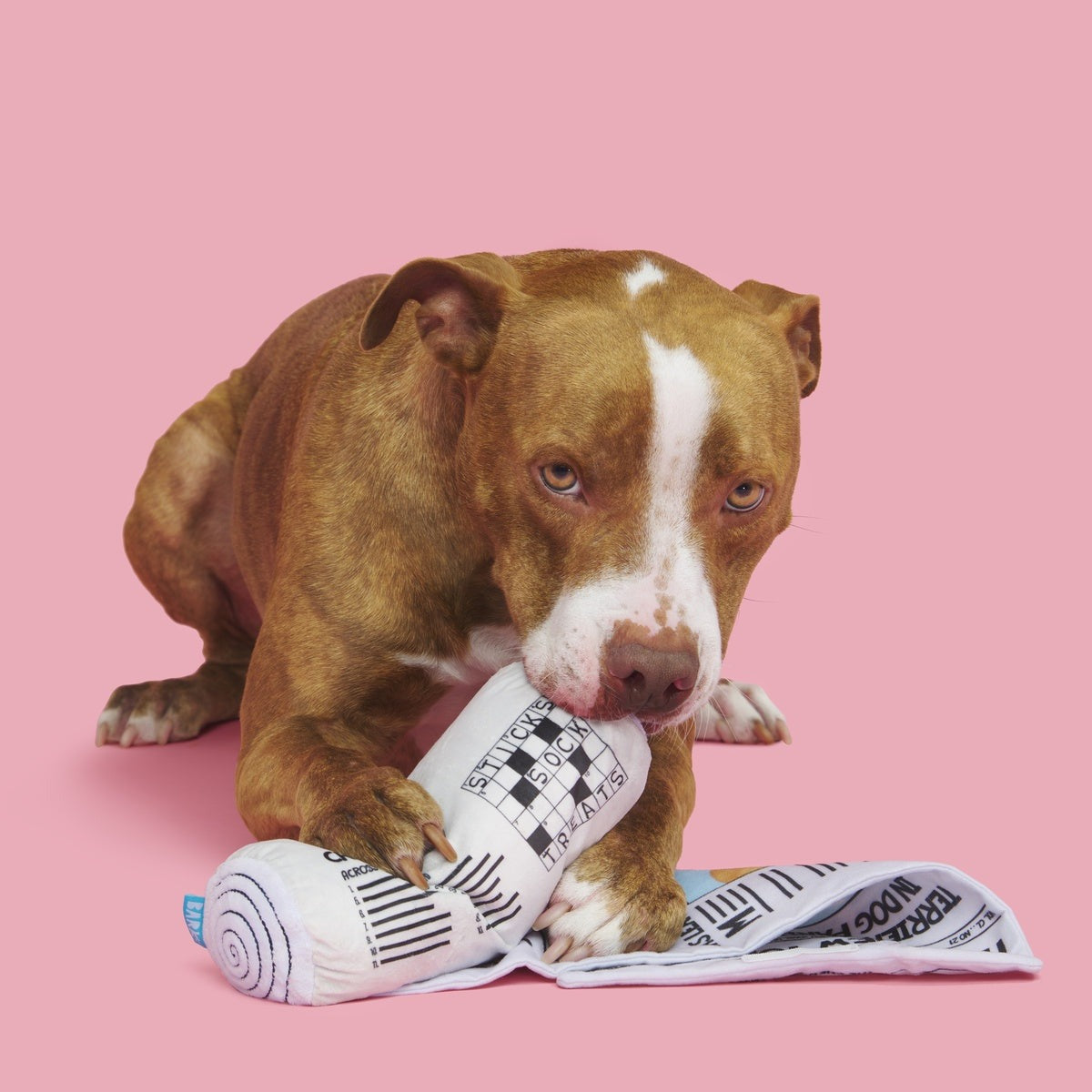 The Chew York Times Plush Tug + Enrichment Dog Toy