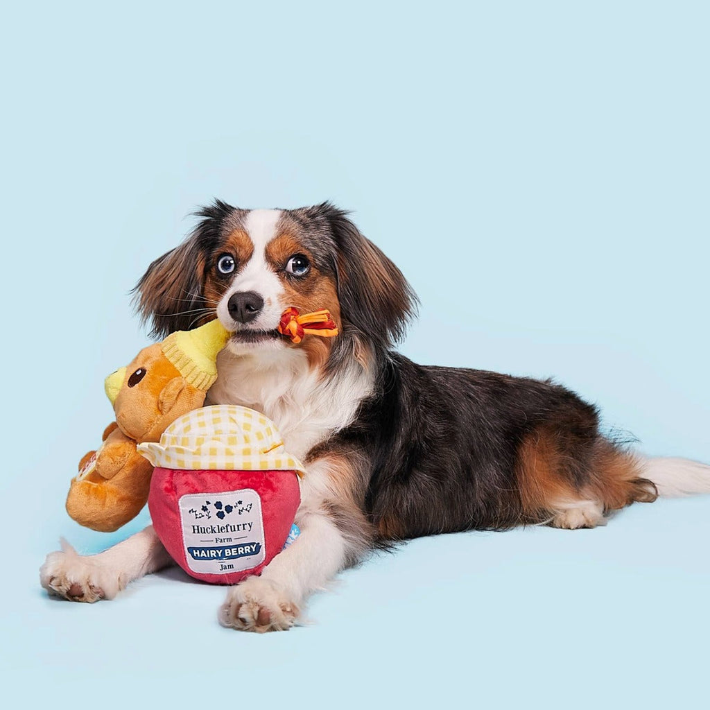 That's My Jam, Honey Plush Multi-Part + Enrichment Dog Toy