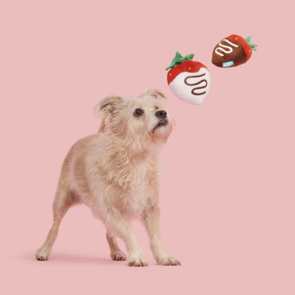 Chocolick Strawberries Plush Multi-Part Dog Toy
