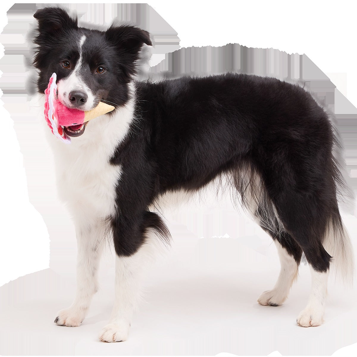 Melted Melanie Plush Tug Dog Toy
