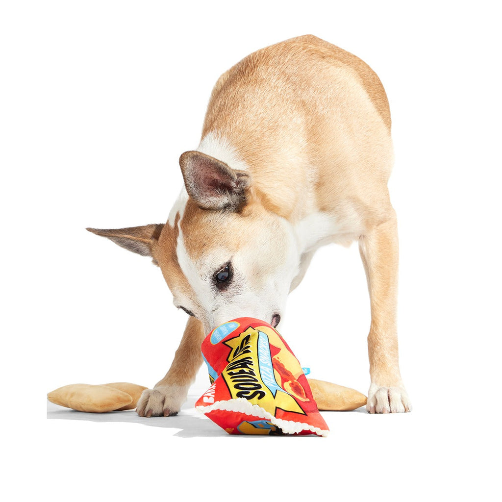 Squeak Lovers Pizza Snacks Plush Multi-Part + Enrichment Dog Toy