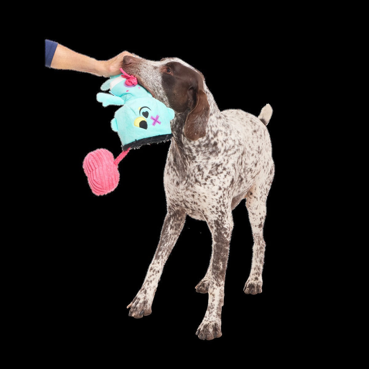 Ghoul-Ghoul Ga-Ga Plush Tug Dog Toy